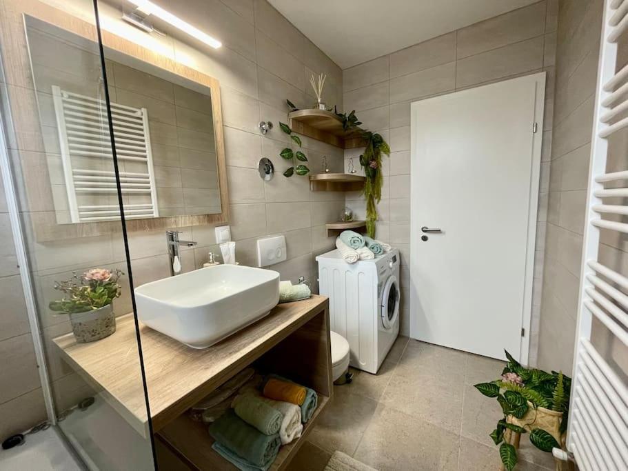 Belmonte Apartment Brasov Exterior photo